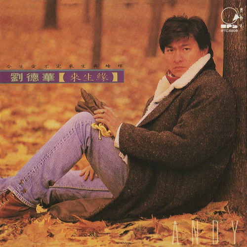 1991_來生緣_resize
