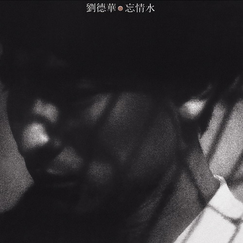 1994_忘情水_resize