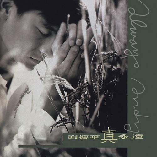 1995_真永遠_resize